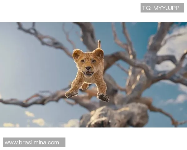 巴西足球明星德尼尔森的辉煌职业生涯与传奇故事揭秘