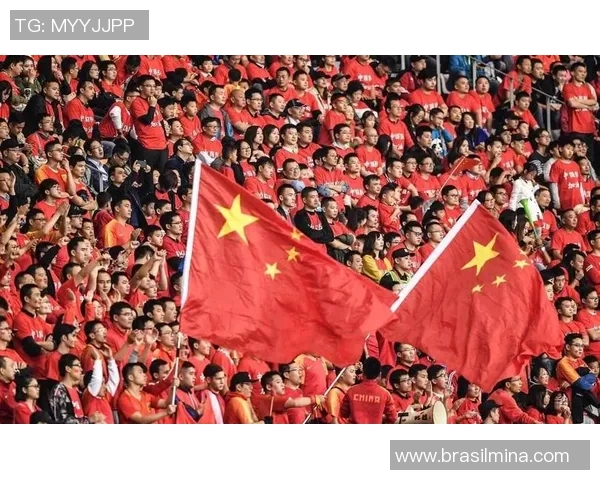 武汉足球队的崛起之路：揭秘他们背后的力量与荣耀